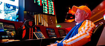 Онлайн казино WG Casino